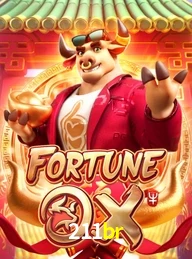 211BR.COM