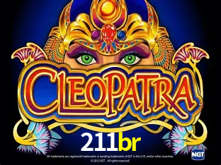 Cadastro rápido e seguro na 211br