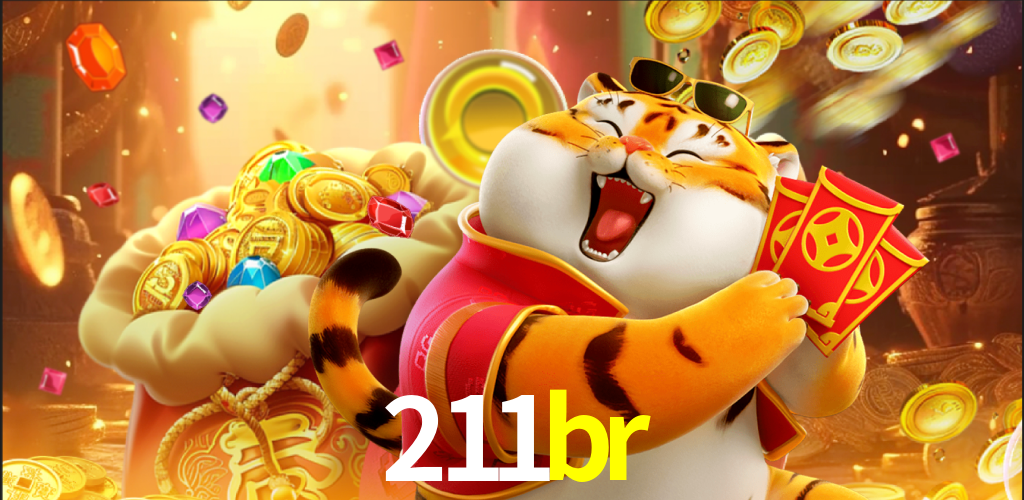 211br