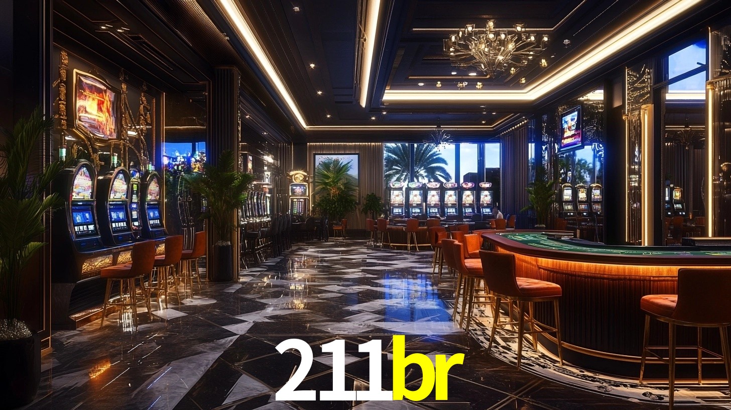 211br App Interface